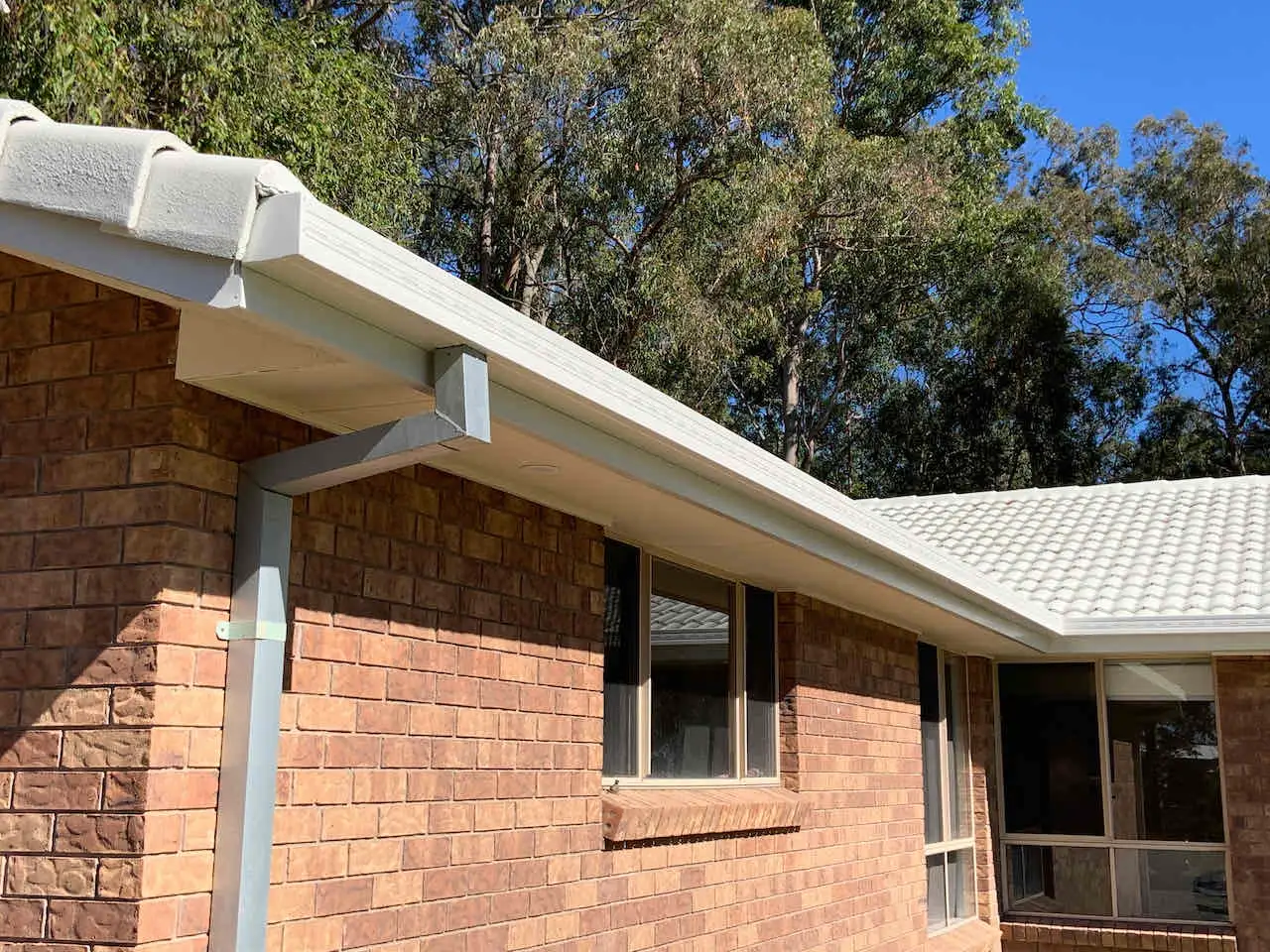Professional Gutter Replacement & Downpipe Services